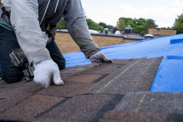 Best Gutter Installation and Roofing  in Hasson Heights, PA