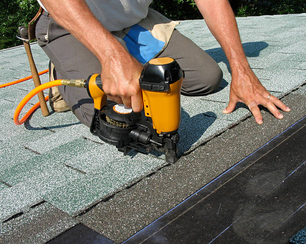 Best Roof Gutter Cleaning  in Hasson Heights, PA