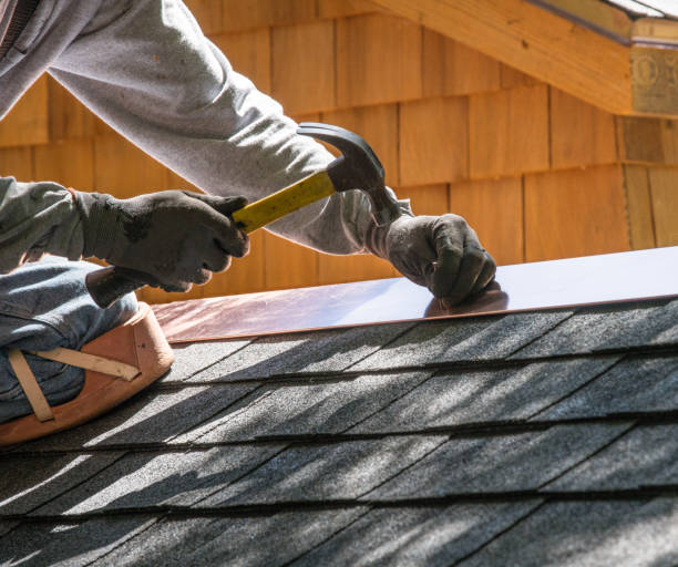 Best Local Roofing Companies  in Hasson Heights, PA